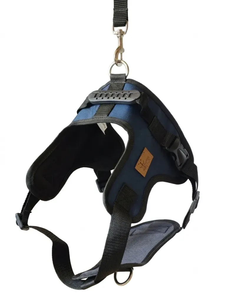 Pechera con Correa talla XL  (Azul)